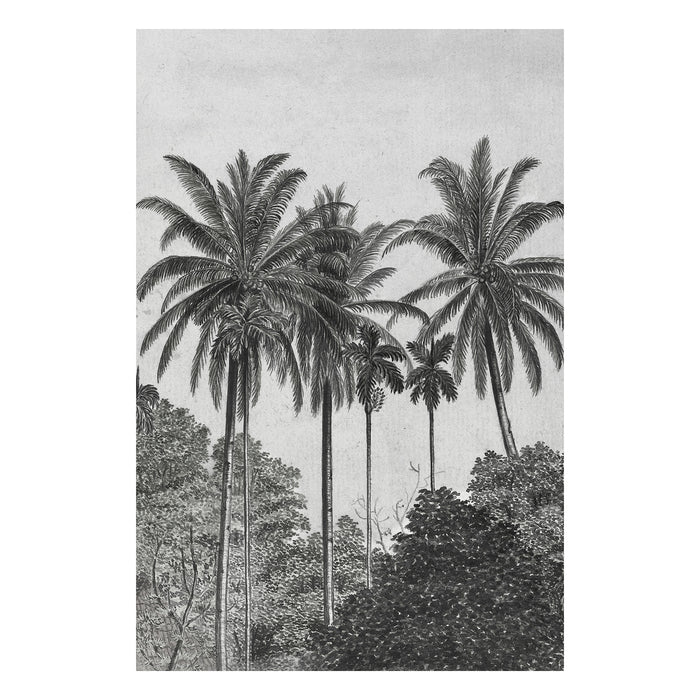 Art for the Home - Fotobehang - Palm Deco - Grijs|Zwart - 300x200 cm