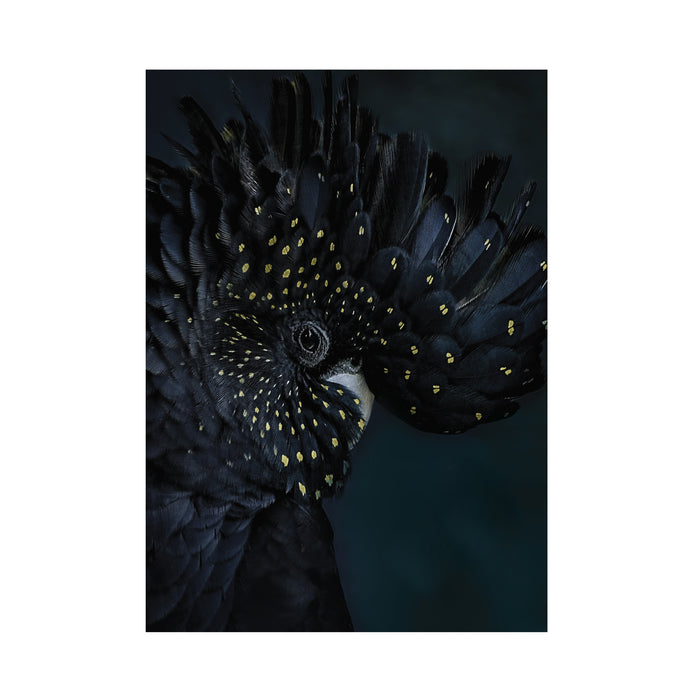 Art for the Home Fotobehang - Exotic Bird - 280x200cm