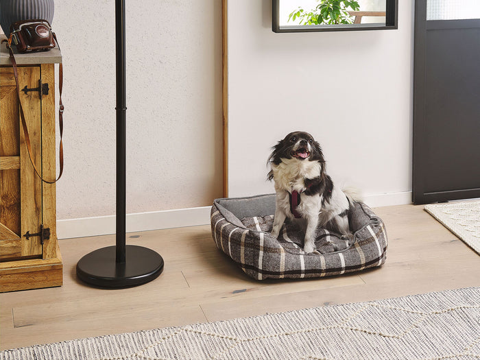 a8374d5d-884e-44f5-866d-59d22fc6538b-sfeerbeeld.jpg (7445064) 