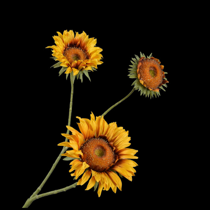 a8279f0d-20a5-44f1-bede-4c1401f83f7c-vrijstaandbeeld.jpg (7447948) 