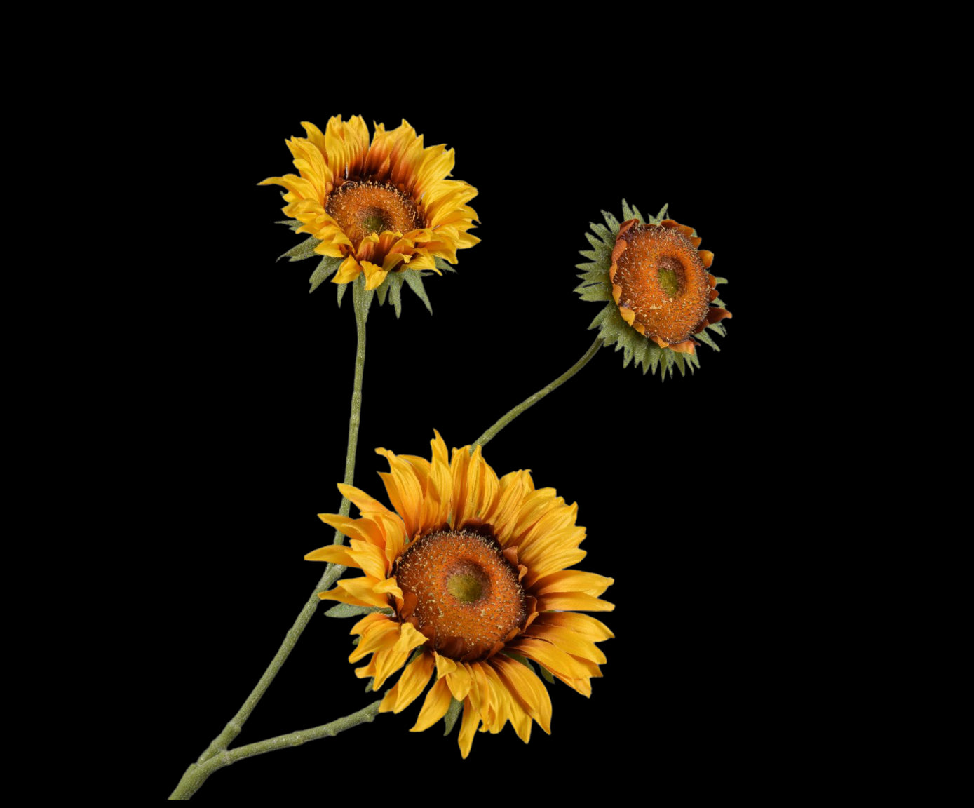 a8279f0d-20a5-44f1-bede-4c1401f83f7c-vrijstaandbeeld.jpg (7447948) 