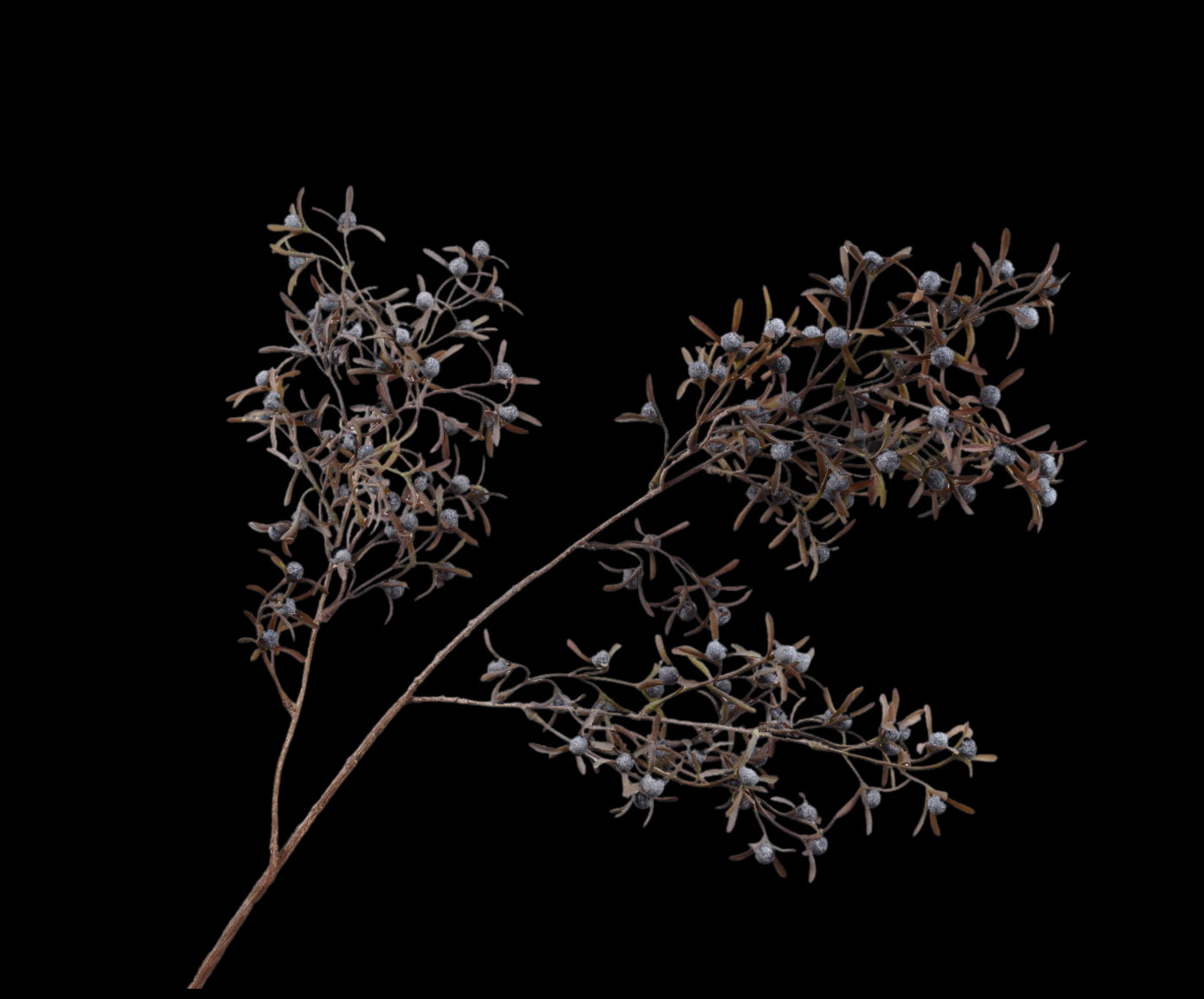 b27048dc-eae4-466b-aae0-08de39122f66-vrijstaandbeeld.jpg (7458708) 