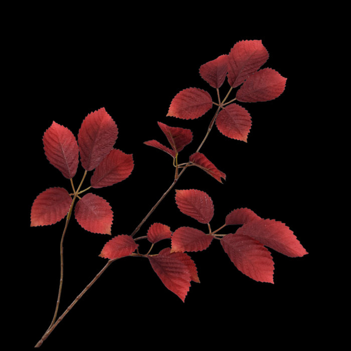 ee21a7a9-3be8-4963-81a9-06f8c4535f83-vrijstaandbeeld.jpg (7458717) 