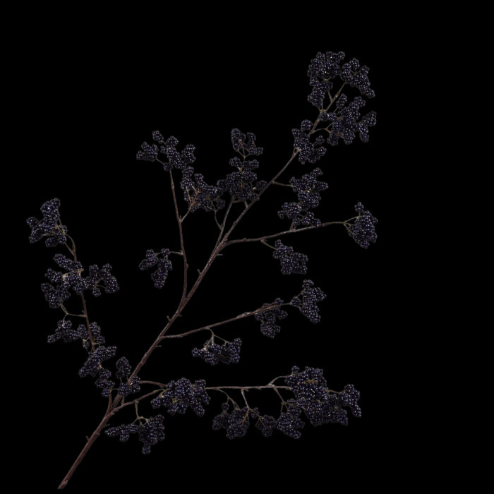 d451b704-a953-4a90-a6a0-3db39896606f-vrijstaandbeeld.jpg (7458805) 