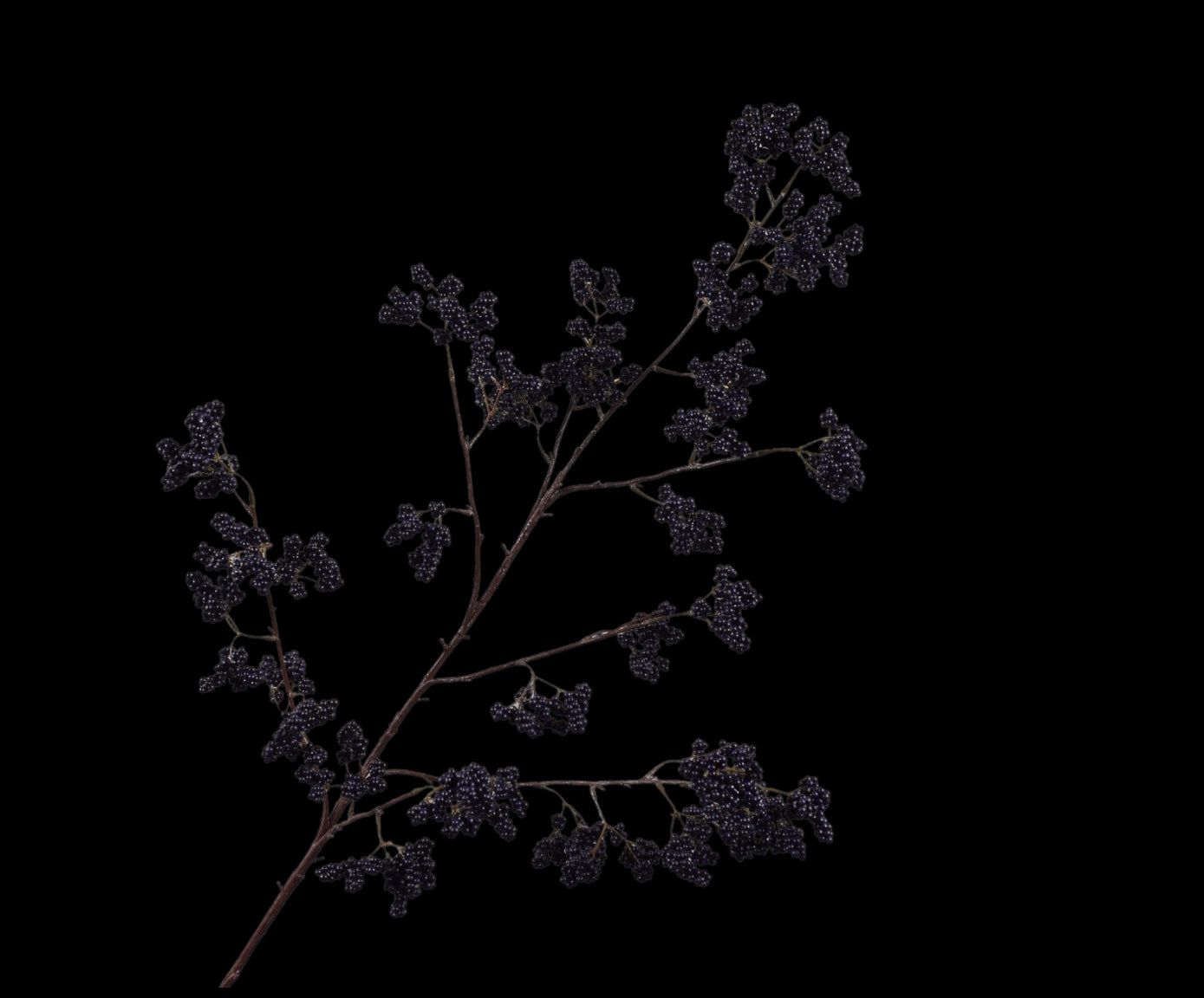 d451b704-a953-4a90-a6a0-3db39896606f-vrijstaandbeeld.jpg (7458805) 