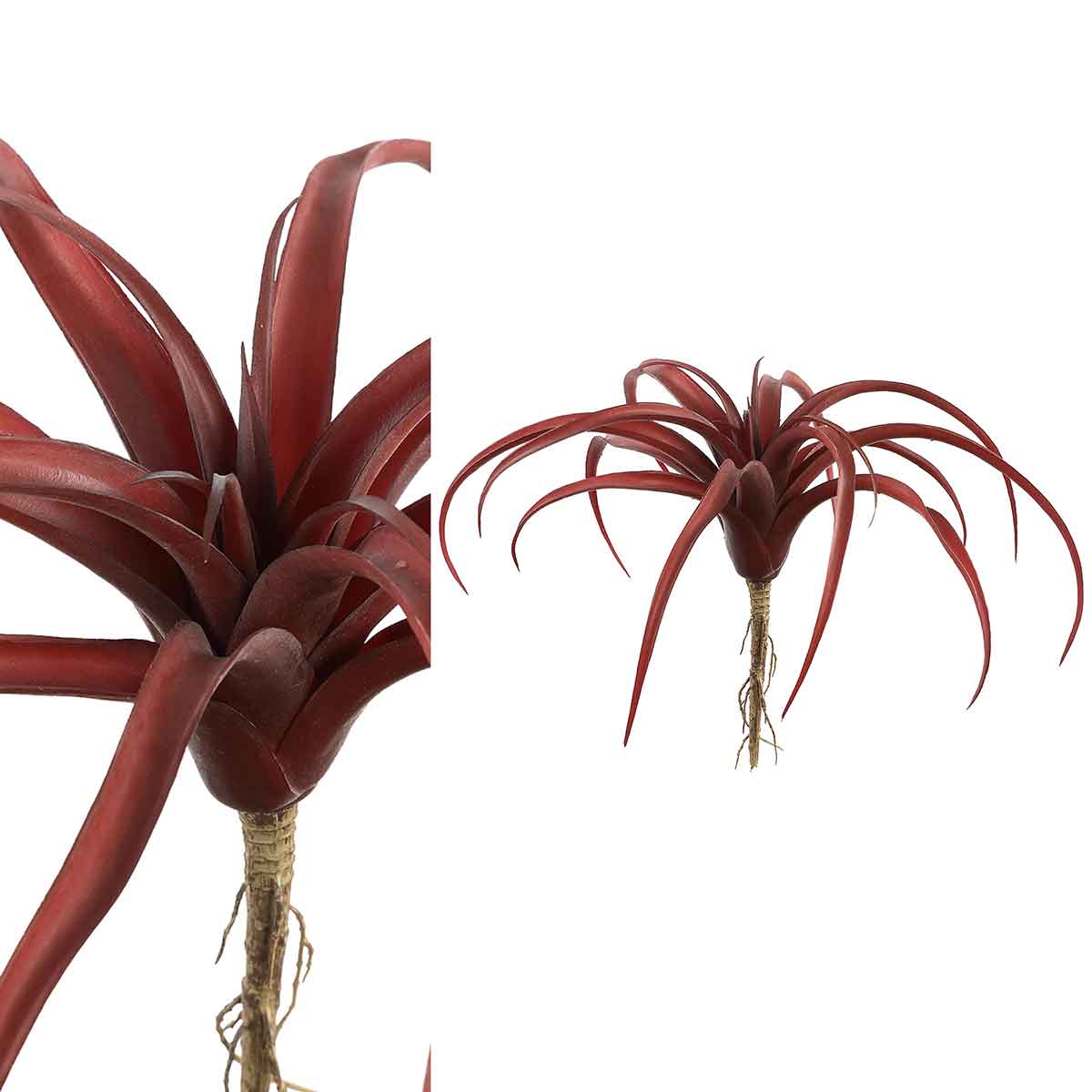 PTMD Succulent Tillandsia Pluk Kunstplant - 9 x 30 x 23 cm - Rood