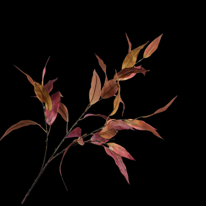 c6a0c47a-8ace-4623-beaa-d952fcd9502b-vrijstaandbeeld.jpg (7458855) 