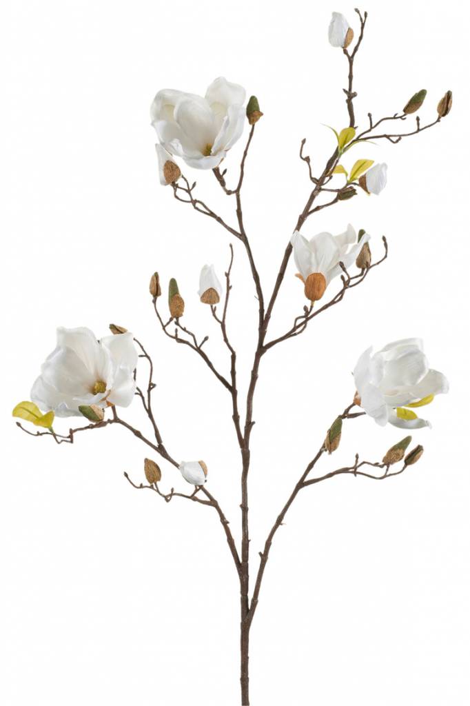 Easyplants Kunst Magnolia Tak Crème 105 Cm