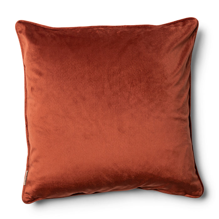 f29ac266-87c0-4557-ac98-080bf62ab183-afbeelding3.jpg (7471794) 