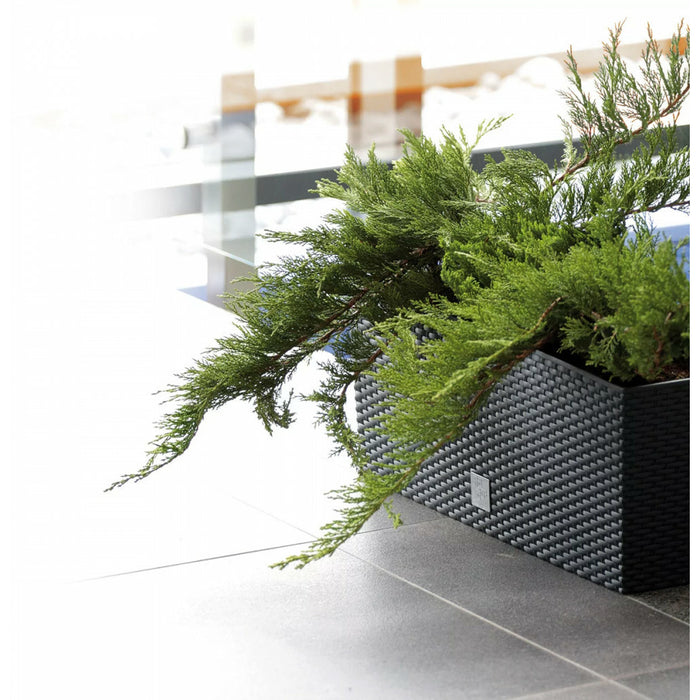 Prosperplast Plantenbak Rato - antraciet - 72 l - 80 x 33 x 32 cm