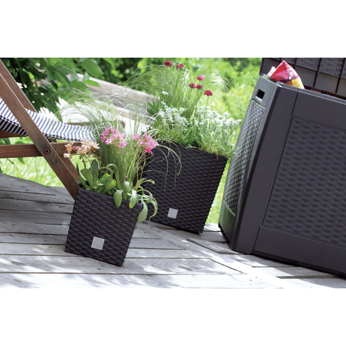 Prosperplast Plantenbak Rato - antraciet - kunststof - 32 cm