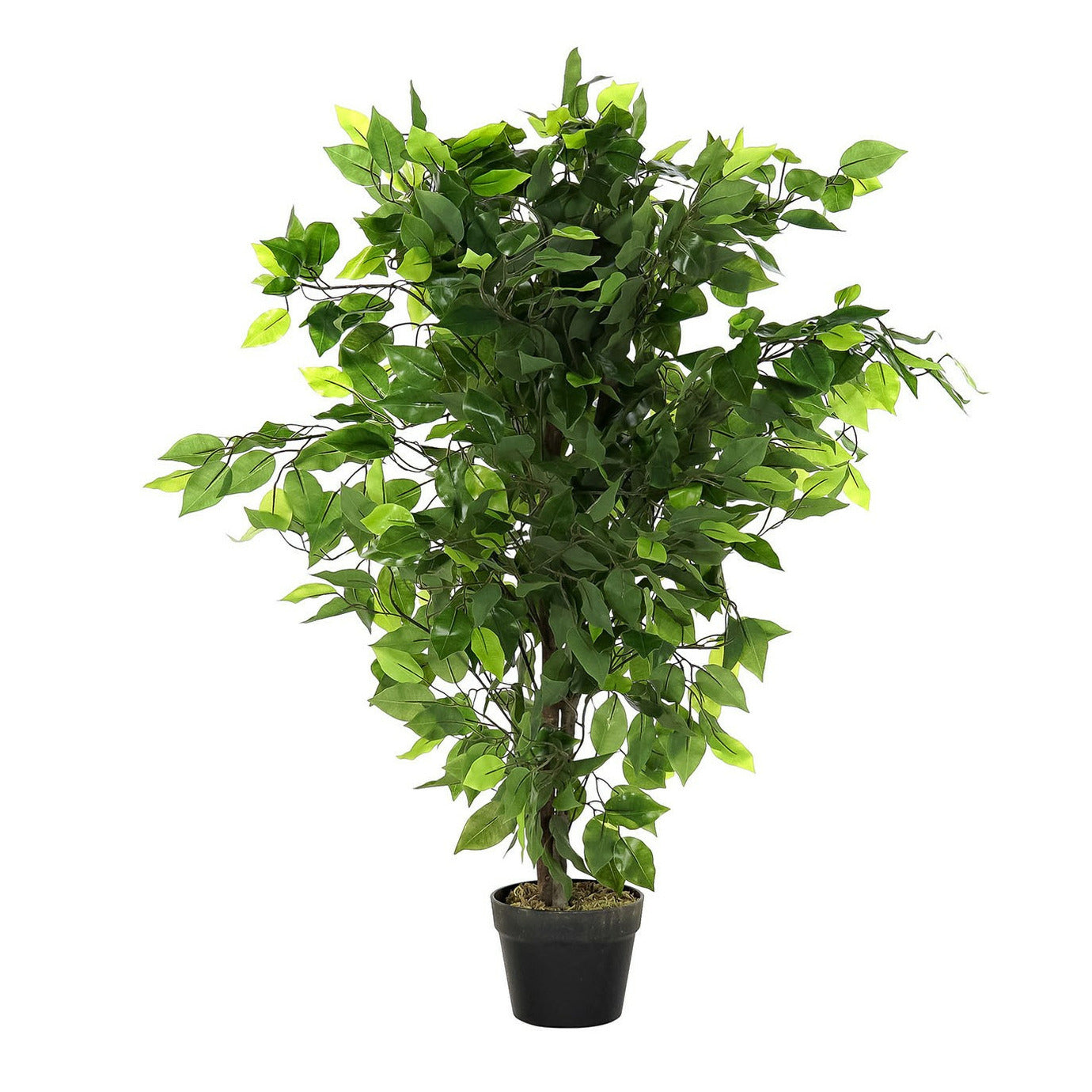 Items Kunstplant Ficus in bloempot - Groen - 50 x 90 cm