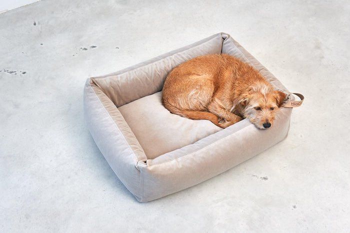 d1ea6f17-53ce-400f-9358-6e1c2bb24650-afbeelding9.jpg (7485152) 