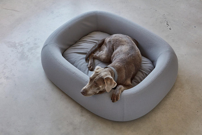 371e973e-9674-4f69-a076-fd6ad5dd823b-afbeelding8.jpg (7485190) 