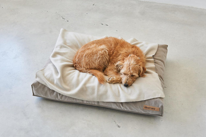 572ded25-1b10-409f-ae46-a8749c866232-afbeelding5.jpg (7485666) 