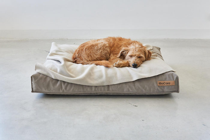 572ded25-1b10-409f-ae46-a8749c866232-afbeelding8.jpg (7485669) 