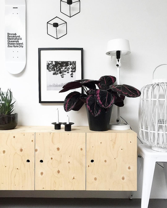 2c0b331b-ef4b-45f3-8850-c2ee9b45f49f-afbeelding6.jpg (7500208) 