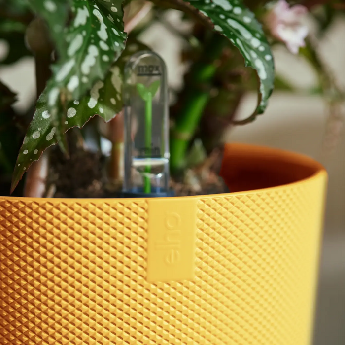 321611-x04-202310181322-A.png (7505964) 