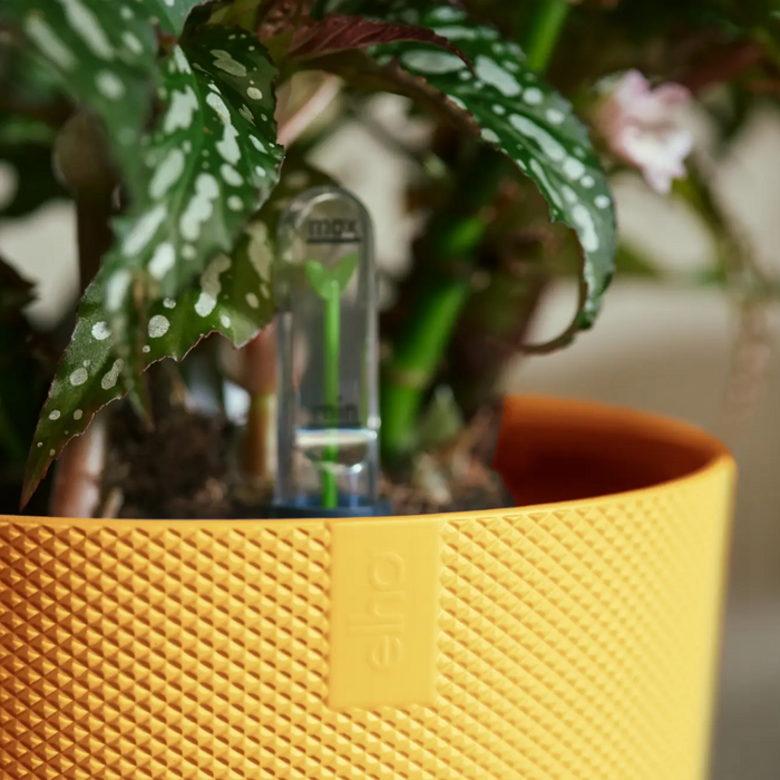 321612-x04-202310181322-A.png (7505974) 