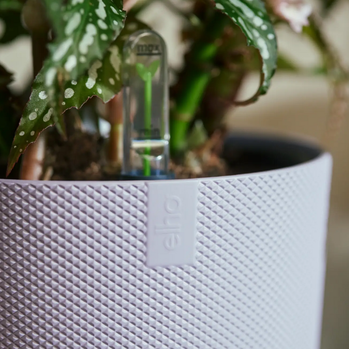 321614-x05-202310181322-A.png (7505994) 