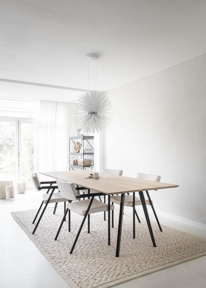 66391b90-74be-4fad-a1cb-609749a4bc06-afbeelding9.jpg (7508016) 