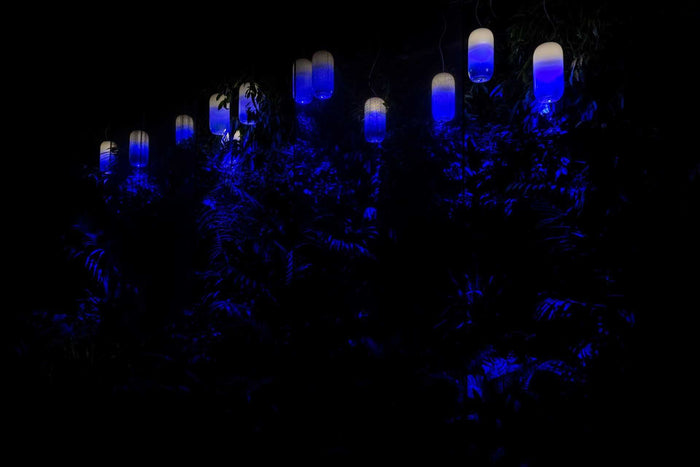 bf943151-a496-4d9b-8ba2-d007f64b52e8-afbeelding5.jpg (7510276) 