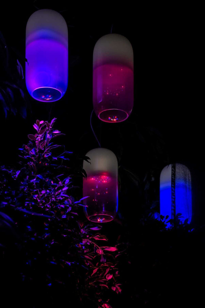 bf943151-a496-4d9b-8ba2-d007f64b52e8-afbeelding6.jpg (7510278) 