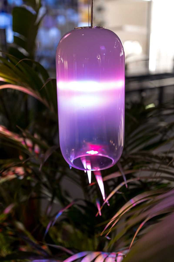 bf943151-a496-4d9b-8ba2-d007f64b52e8-afbeelding7.jpg (7510281) 