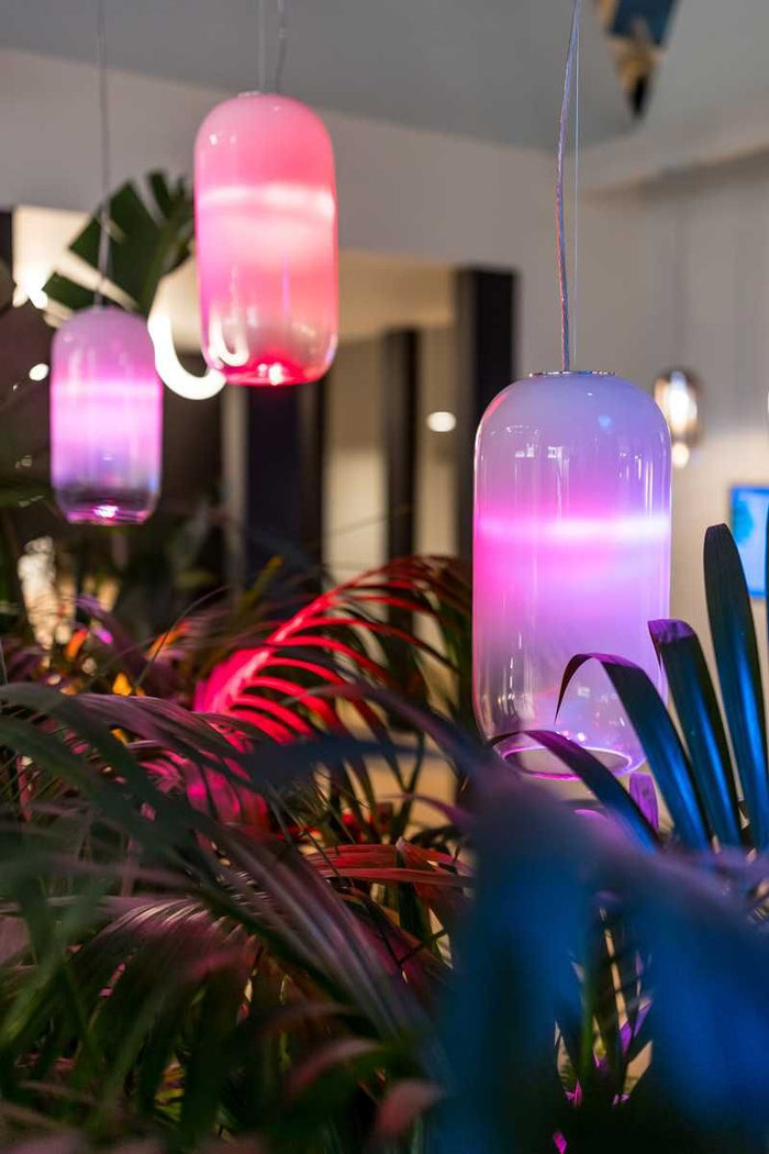 bf943151-a496-4d9b-8ba2-d007f64b52e8-afbeelding8.jpg (7510284) 