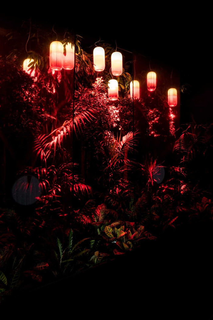 bf943151-a496-4d9b-8ba2-d007f64b52e8-afbeelding9.jpg (7510287) 