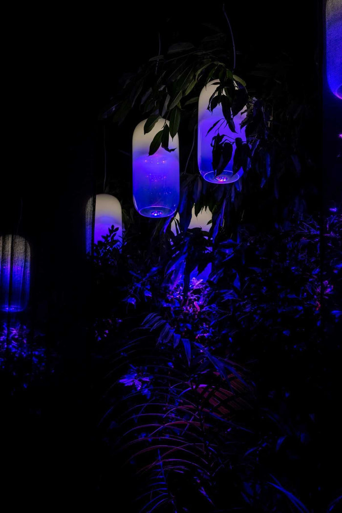 bf943151-a496-4d9b-8ba2-d007f64b52e8-afbeelding10.jpg (7510290) 