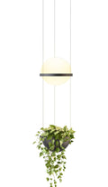 Palma Hanglamp 3724 LED Ø22 met plantenbak mat grijs