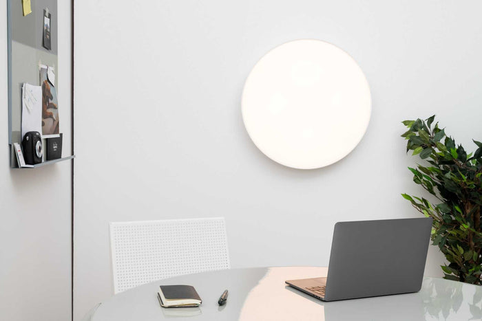 31239e84-e1f1-4622-ac12-83737f30ff7f-afbeelding8.jpg (7523182) 