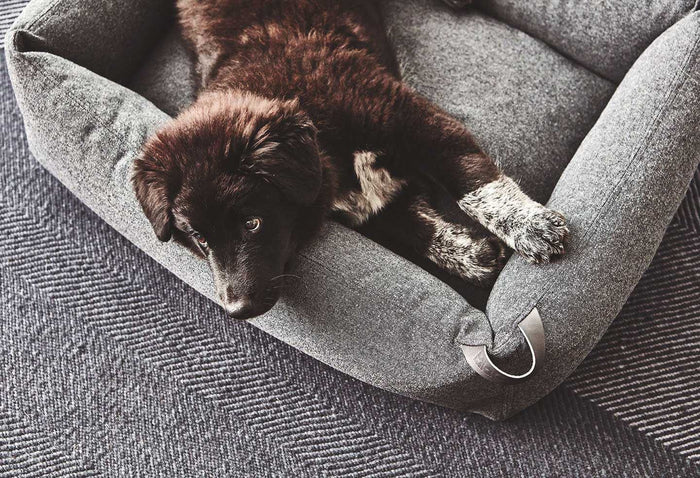 5bc54c1e-3064-40af-b7f5-883c684e6f31-afbeelding7.jpg (7528206) 