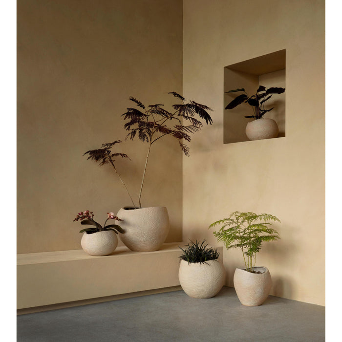 b8645fbc-53e7-4ef2-9899-a92767151573-afbeelding4.jpg (7528345) 