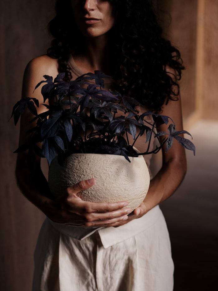 2e809f47-32dc-436b-83e8-fb59e36d2640-afbeelding7.jpg (7528456) 