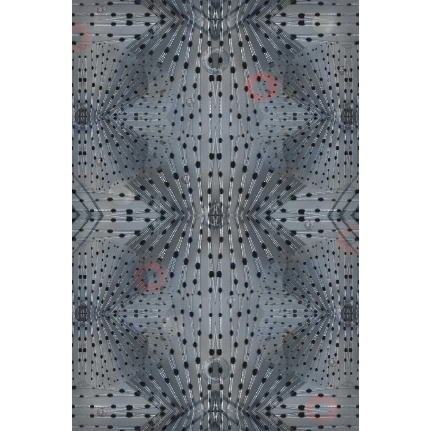 Moooi Carpets Flying Coral Fish vloerkleed 200x300