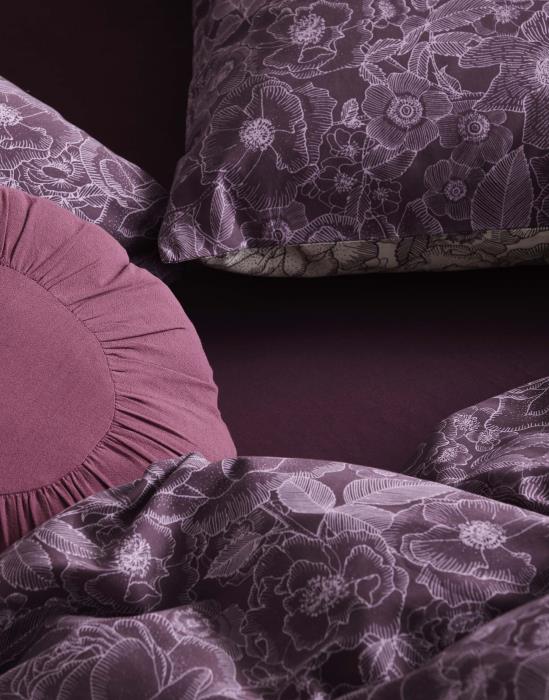 10f5a5e7-ca2d-446c-8c79-31997064d166-afbeelding4.jpg (7552729) 