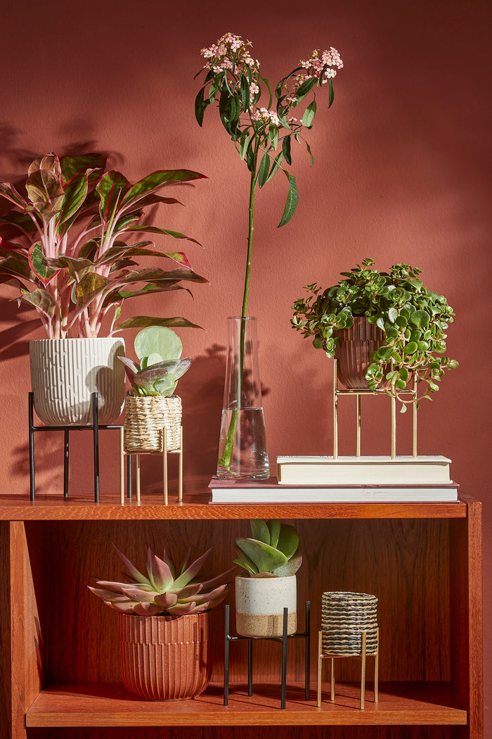 0f9fb170-bfb2-4a24-92c3-2443e4a1693e-afbeelding11.jpg (7553478) 