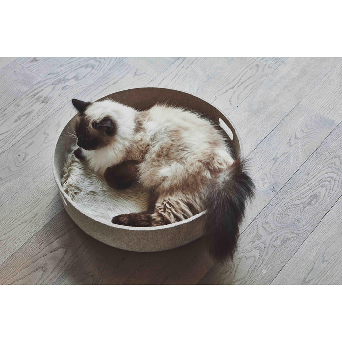 ec0be847-bae4-4326-8a05-471fe9555462-afbeelding3.jpg (7566039) 