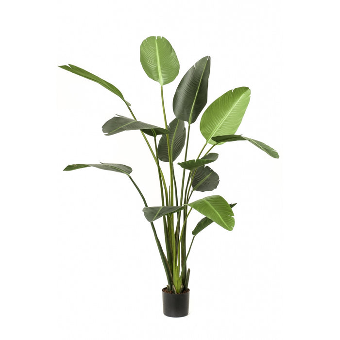 Easyplants Kunstplant Strelitzia 230 Cm