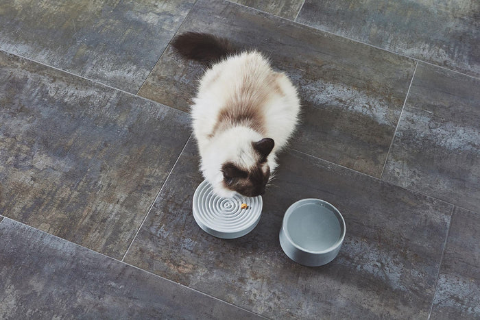 Piatto kattenvoerbak Ø16 concrete