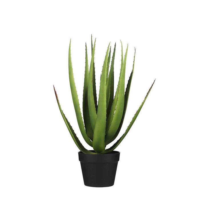 b3773410-da2e-4aac-9467-41d4091f3317-vrijstaandbeeld.jpg (7591478) 