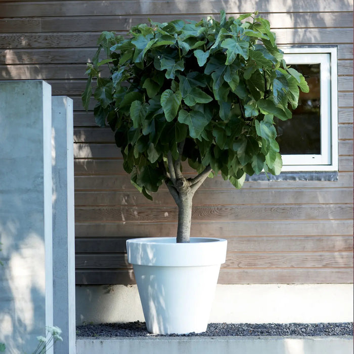 Elho Pure Round Bloempot Ø 40 cm - Wit