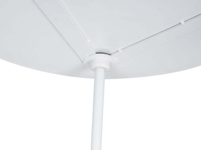 0d89128c-6672-4c16-af2f-d4aad3d57659-afbeelding11.jpg (7597895) 