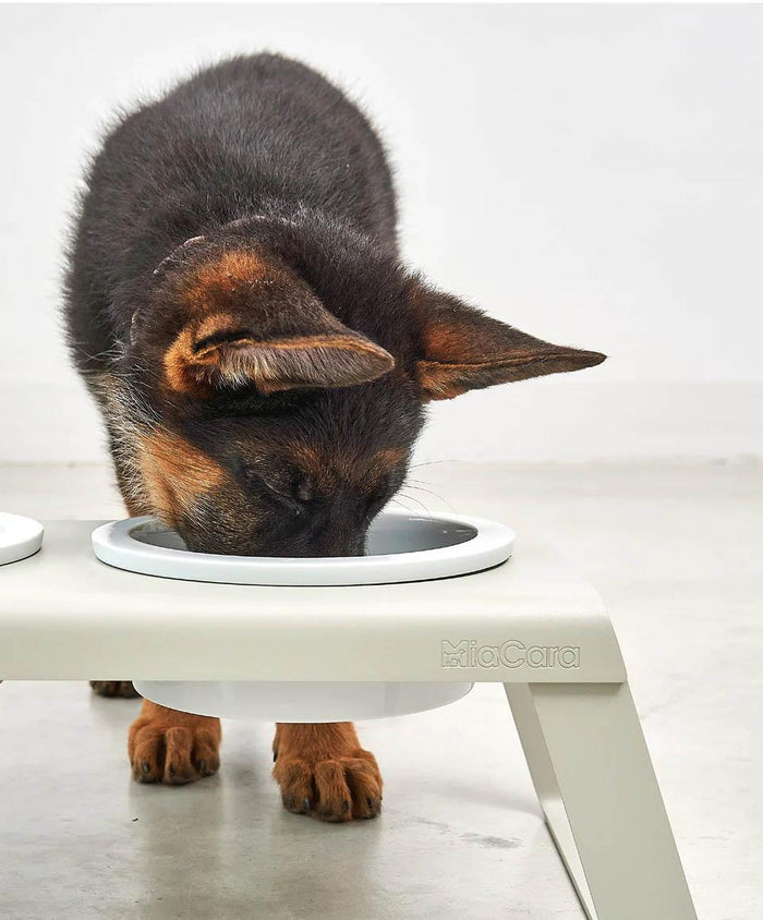 MiaCara Desco hondenvoerbak porselein large zwart