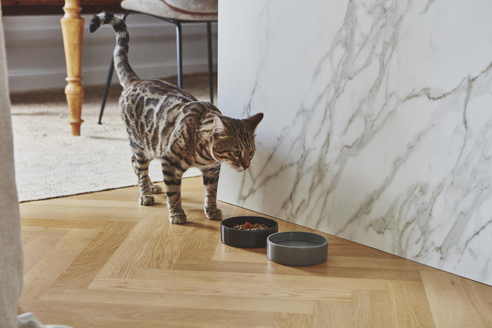 MiaCara Scodella kattenvoerbak Greige