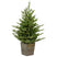 Nordmann kunstkerstboom - 91 cm - groen - Ø 76 cm - 668 tips - 100