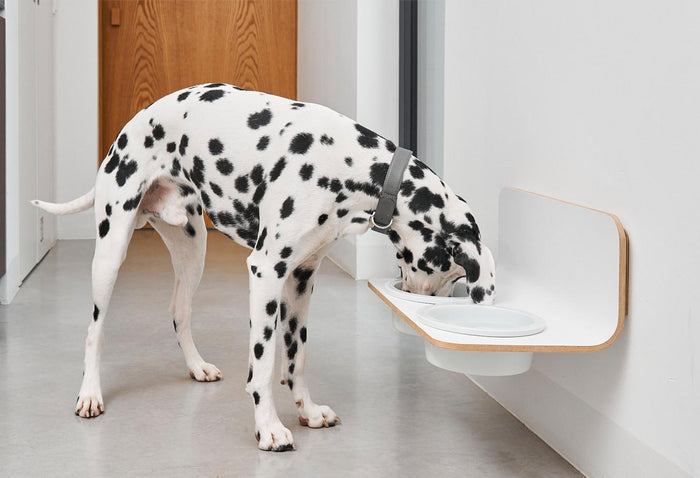 MiaCara Arco hondenvoerbak wand porselein small|medium White