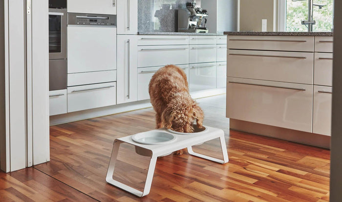 MiaCara Desco hondenvoerbak porselein large grijs